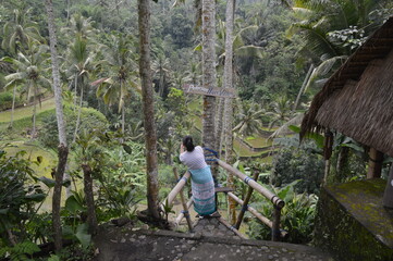 On the way down to the beautiful Gunung Kawi temple in Ubud Bali Indonesia