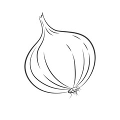 Black outline onion vector line art illustration. Hand drawn retro sketch. Black onion engraving on white background.  - 361662235