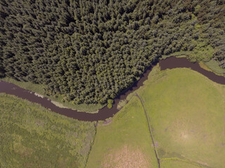 aerial view of river in the forest