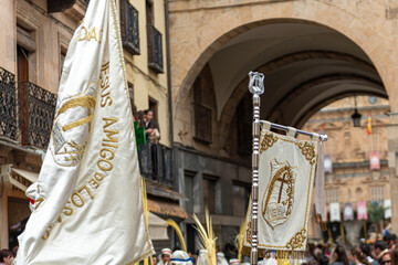 PROCESIÓN DE LA BORRIQUILLA DOMINGO DE RAMOS SALAMANCA 2019 HERMANDAD DE LOS NIÑOS 