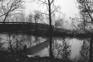 Puente con niebla sobre río en otoño.