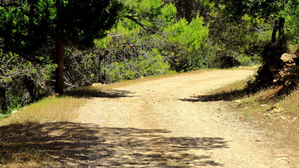 anderes y caminos