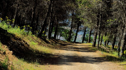 natural y caminos4