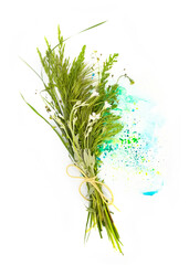 Fresh summer meadow herbs grass and flowers with hand painted watercolor blot spot isolated on white paper. Photo with free blank copy space for text. For cards, posters, website decoration