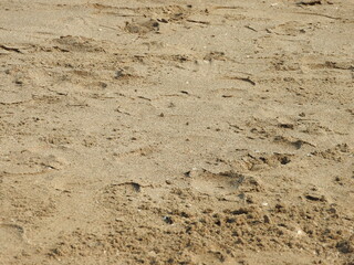 Sand texture 