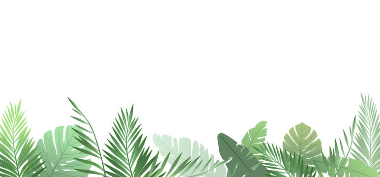palm leaves vector background. leaf pattern design. tropical leaves.