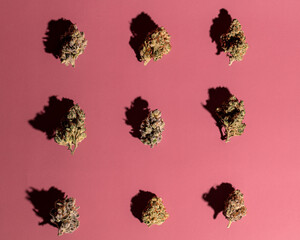 Cannabis grid on red background. 