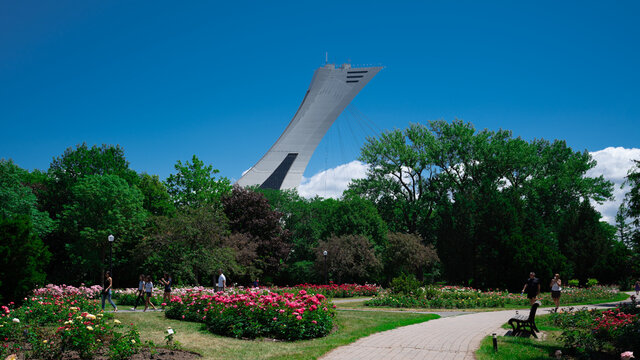 Magnifique vu du stade olympique de Montr&eacute;al
