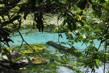 Azul