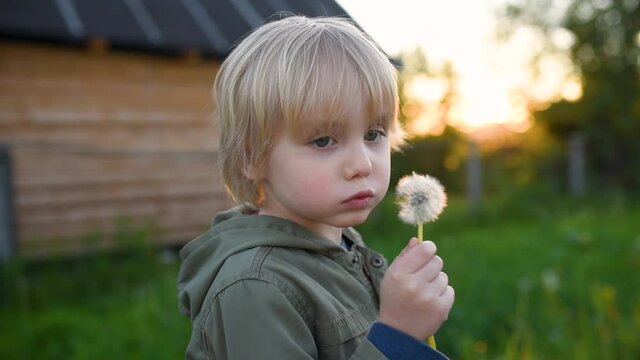 Little boy blows down dandelion fluff. Making a wish. Kids's fun in the summer outdoors. Summer activity for inquisitive child.