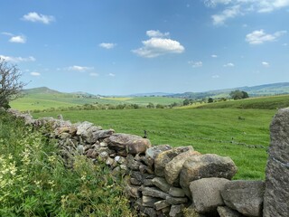 Fototapeta na wymiar Landscape view, looking toward Grassington, with a dry stone wall, green meadows, and plants in, Skipton, Yorkshire, UK 