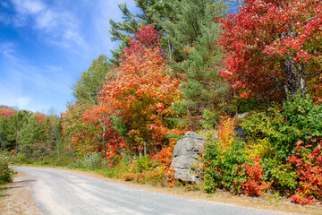 Naklejka premium October Fall Colors in Muskoka, Ontario, Canada