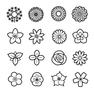 flower line icon collection 