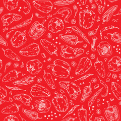 Hand drawn sketch style peppers on red background. Vector seamless pattern for label, menu, print, postcard.