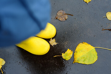 Fototapeta na wymiar Preschooler boy wearing yellow rain boots walking in autumn park. Golden fallen leaves lying on wet dark asphalt. Outdoor activities for children.