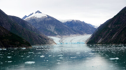 Obraz premium Glacier Bay, Alaska