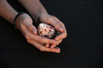 fresh, surface, ground, black sand beach, coastline, bali, island, indonesia, texture, black, sandy, desert, shell pattern, shell in hand, fingers, palm of hand, picking up, human hand, close-up, vaca