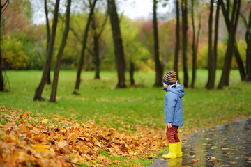 Preschooler boy walking in autumn park. Outdoor activities for children.