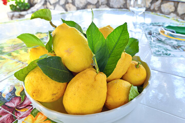 Lemons, typical quality of Capri island