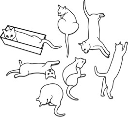 고양이의 귀여운 자세들