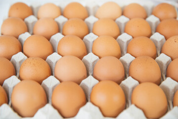 Close-up view of raw chicken eggs in egg box on wooden background. Raw chicken eggs in egg box organic food for good health high protein .