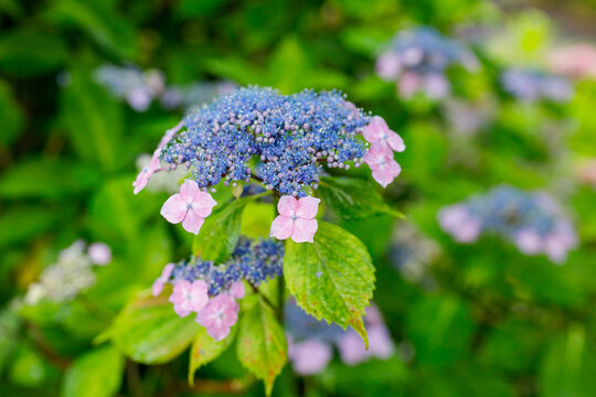 資福寺 Images Browse 1 Stock Photos Vectors And Video Adobe Stock 資福寺 Images Browse 1 Stock Photos Vectors And Video Adobe Stock