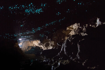Blue glow worms inside the cave, New Zealand © MikeHubert