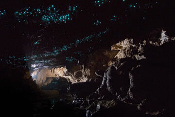 Blue glow worms inside the cave, New Zealand