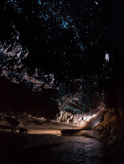 Blue glow worms inside the cave, New Zealand