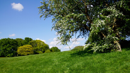 Greenwich Park, London