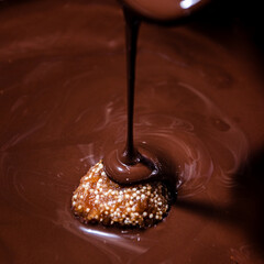 Ba&ntilde;ado de Chocolate