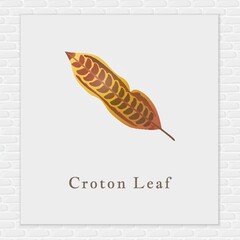 Croton leaf © captainvector