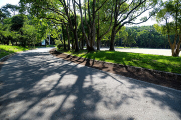 夏の朝の眩しい光と、歩道に伸びた木立の影がある公園の風景