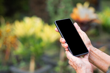 Hands of an senior woman holding a mobile phone while standing in a garden