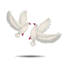 Doves
