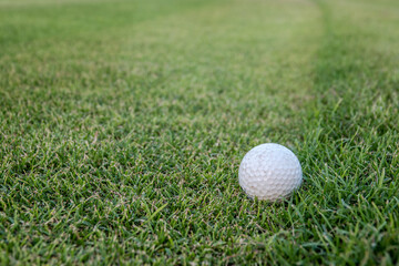 White golf ball on the green 