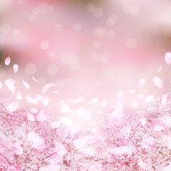 桜　春　花　背景