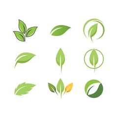 Green leaf logo