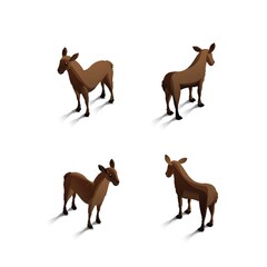 Isometric mules