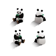 Isometric panda