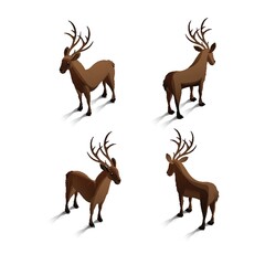 Isometric reindeers