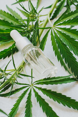Cosmetics with cannabis oil on a white background. The concept of luxurious skin care.