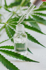 Cosmetics with cannabis oil on a white background. The concept of luxurious skin care.