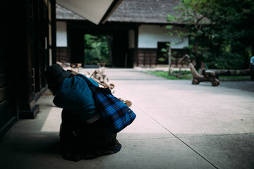 Obraz premium 学校