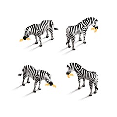 Obraz premium Isometric zebra
