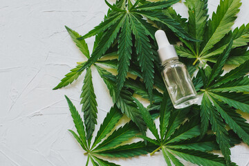 Cosmetics with cannabis oil on a white background. The concept of luxurious skin care.