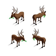 Isometric reindeers