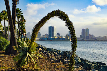 Obraz premium Agave Framed Skyline