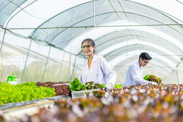 Scientists test the solution, Chemical inspection, Check freshness  at organic, hydroponic farm.