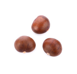 Sweet chestnut on white background